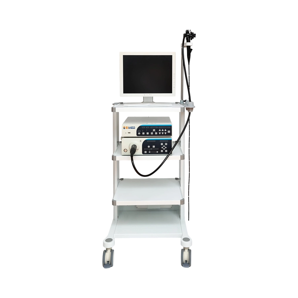 Gastrointestinal Endoscopic System ZGE-A10