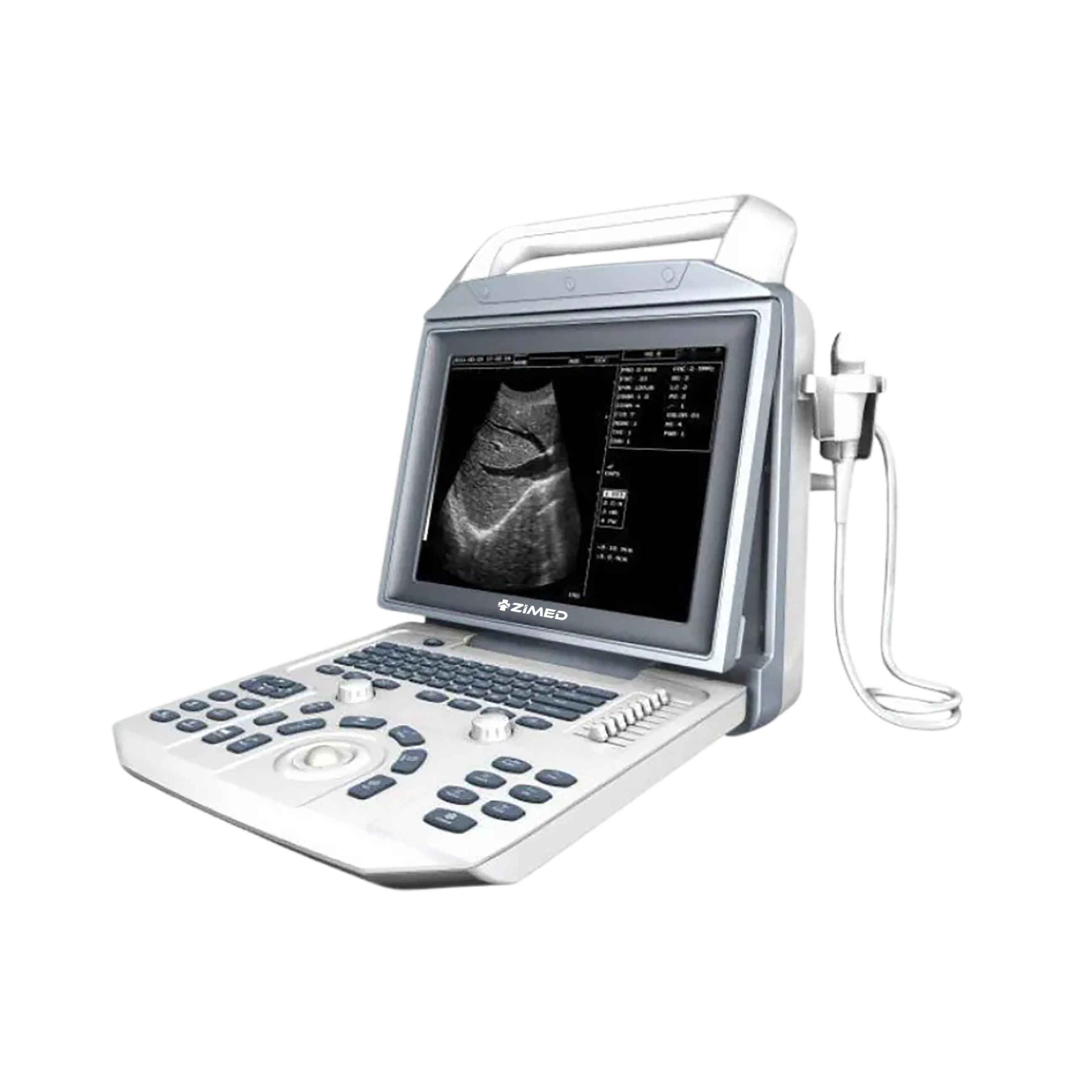 Ultrasound Scanners : Ultrasound System ZUS-A12