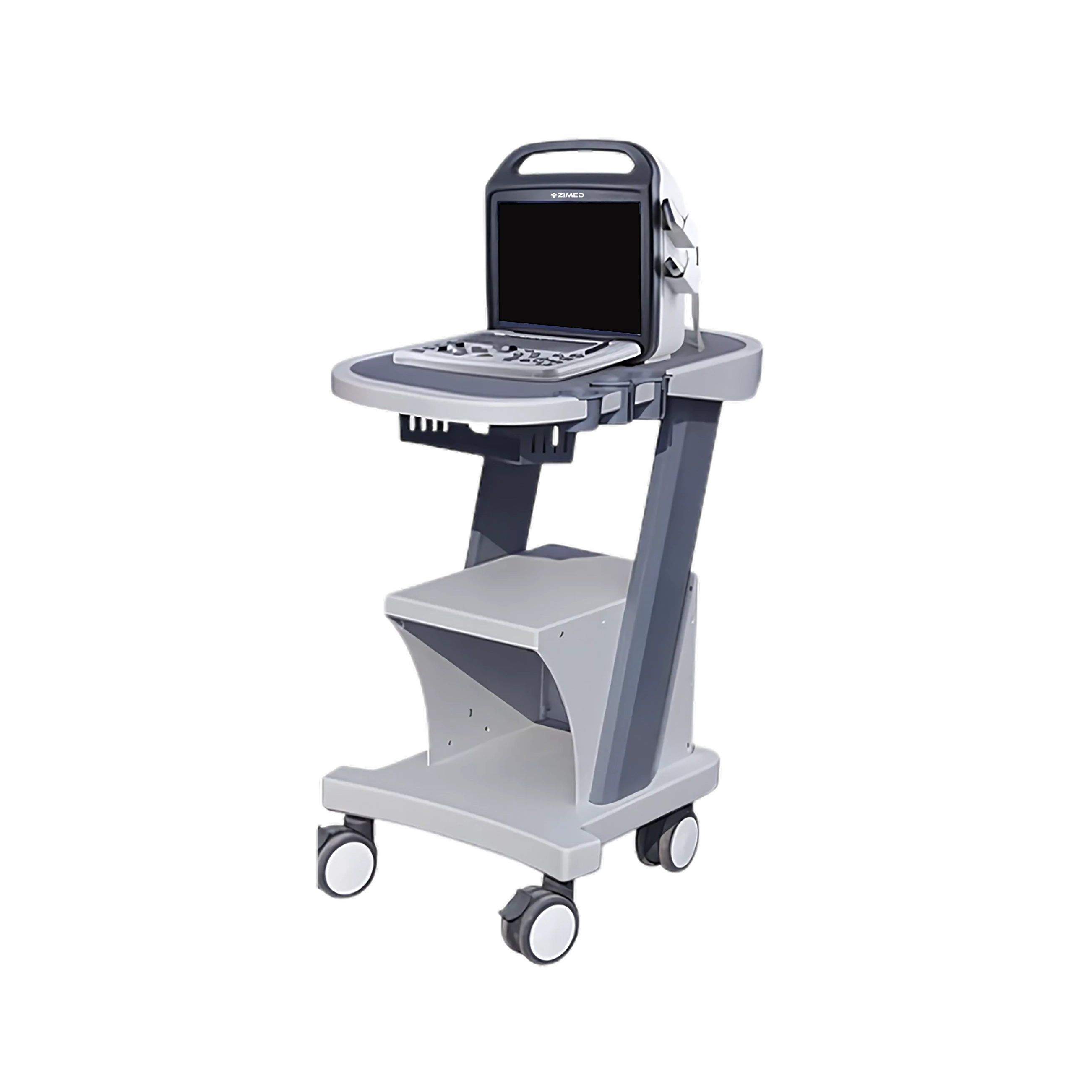 Ultrasound Scanners : 2D color doppler Ultrasound System ZUS-A30